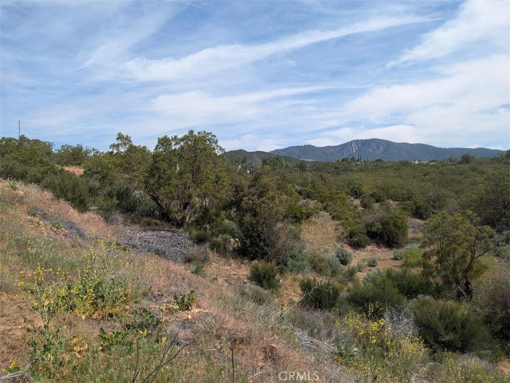 37120 Woodview Road Anza, CA 92539 - Photo 7 of 15