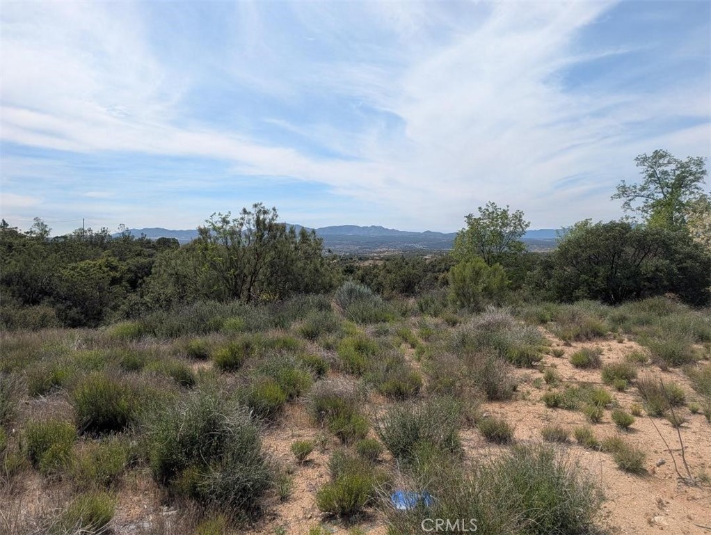 37120 Woodview Road Anza, CA 92539 - Photo 8 of 15