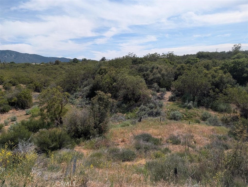 37120 Woodview Road Anza, CA 92539 - Photo 9 of 15