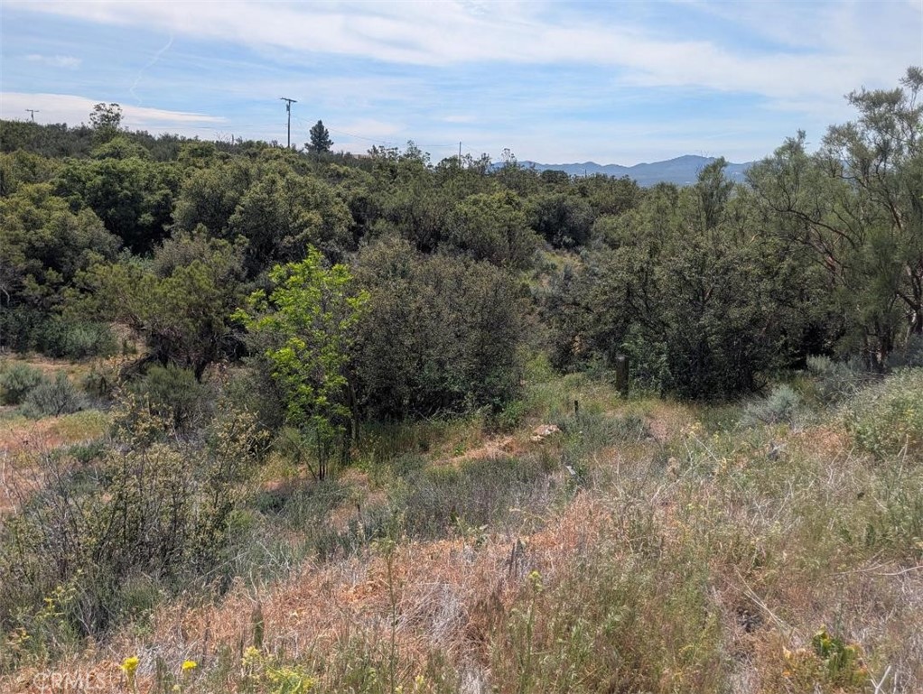 37120 Woodview Road Anza, CA 92539 - Photo 10 of 15