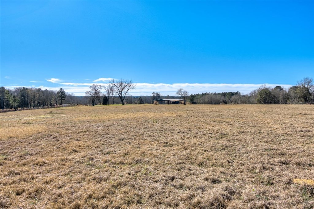 Lot 4 Wire Road Aiken, SC 29801 - Photo 3 of 13