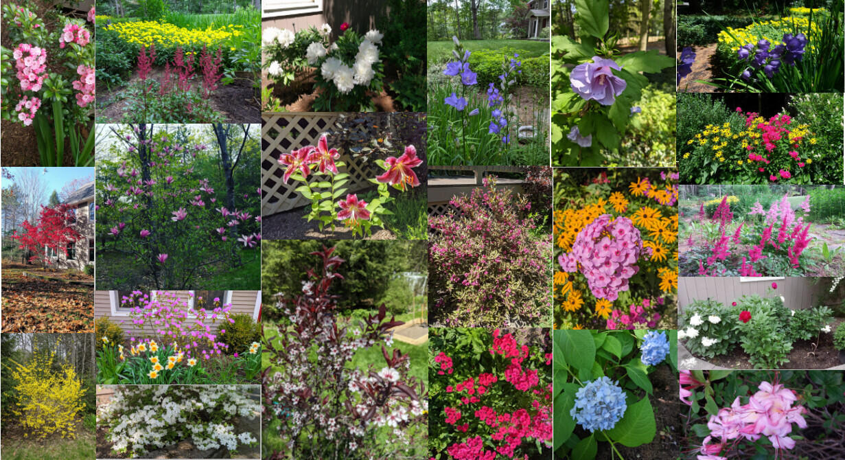 43 Longmeadow Road Scarborough, ME 04074 - Photo 51 of 55 Garden Collage