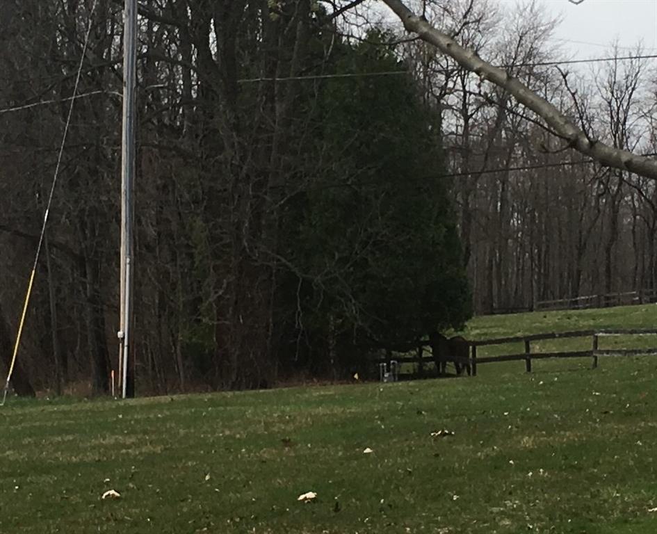 643 Neville Road Beaver, PA 15009 - Photo 22 of 25 this is a view of the neighbor across the road...and yes, it's a horse! You are in the country but only minutes from downtown Beaver