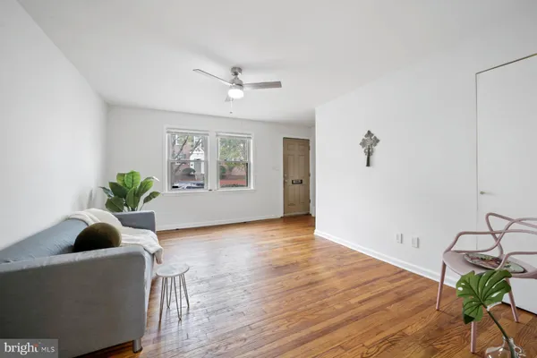a view of a living room and a potted plant