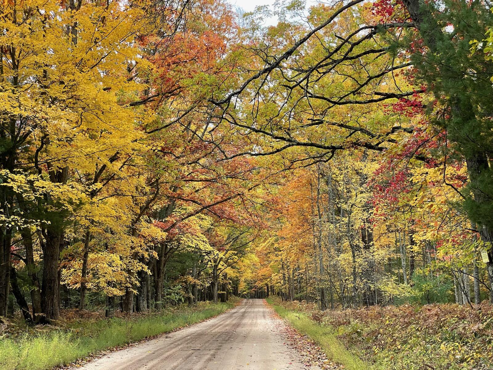 10652 North River Road, Unit E Irons, MI 49644 - Photo 3 of 11 IMG_1629.heic