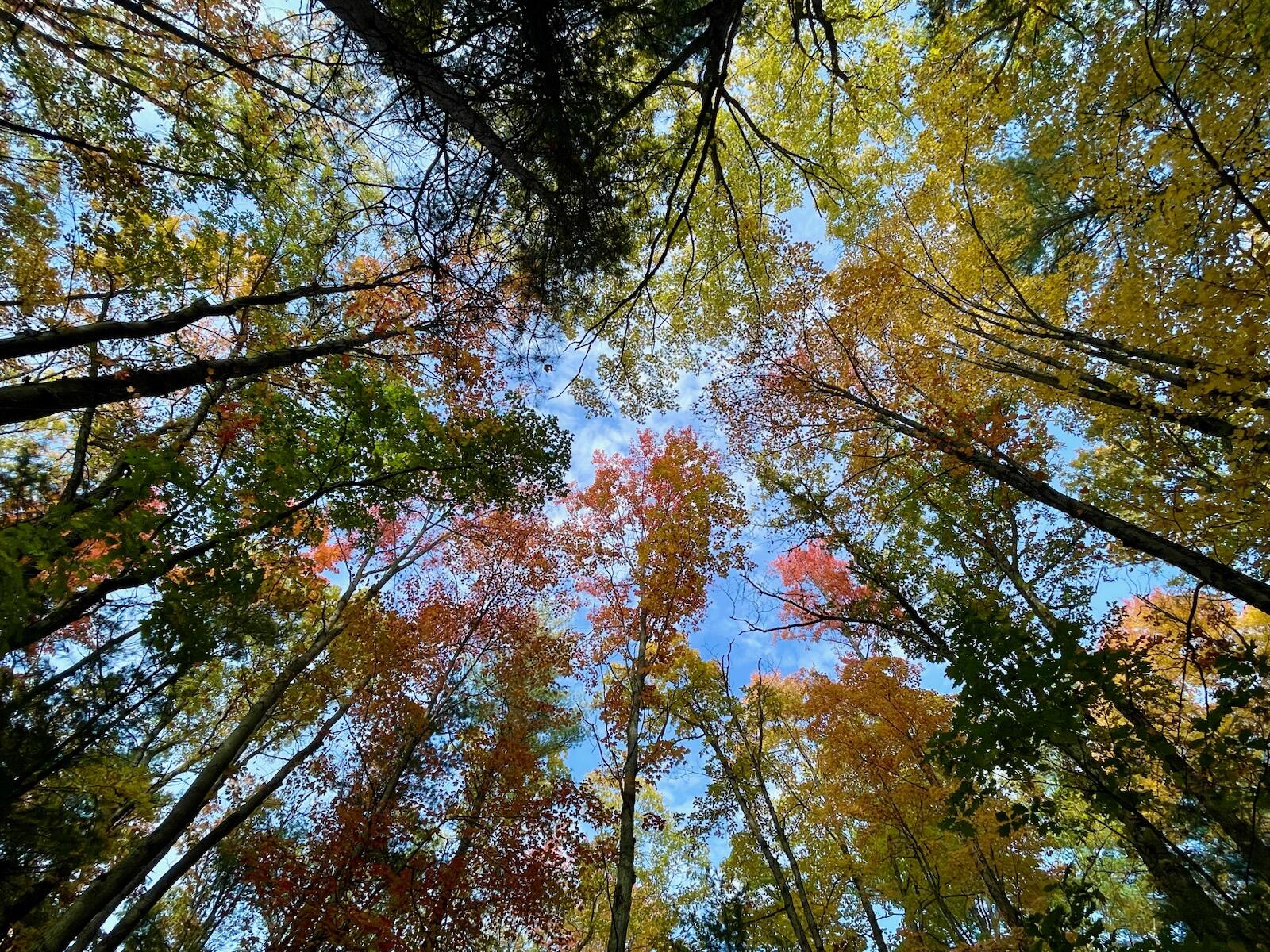 10652 North River Road, Unit E Irons, MI 49644 - Photo 4 of 11 IMG_20260318_175354