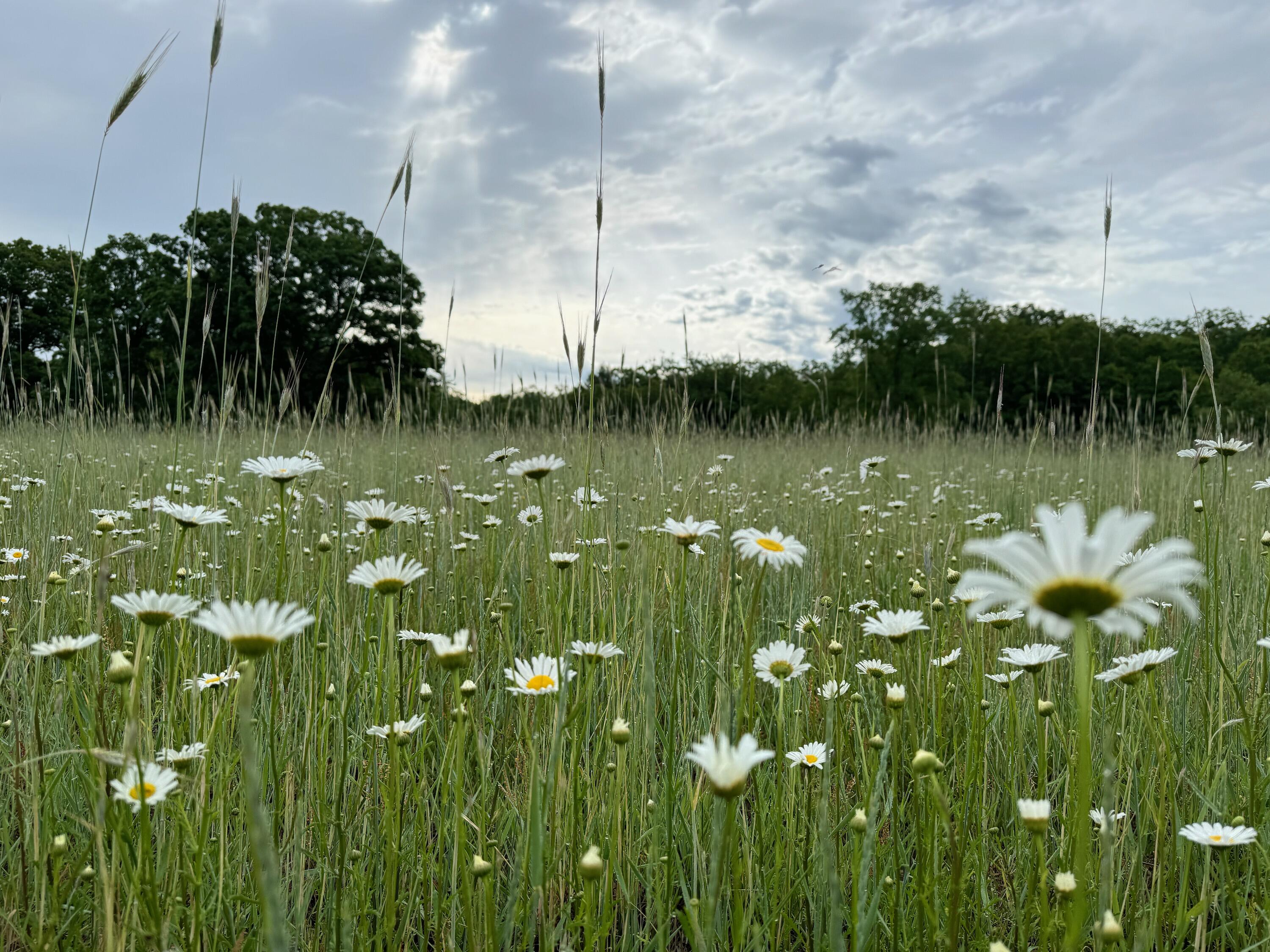 10652 North River Road, Unit E Irons, MI 49644 - Photo 5 of 11 IMG_20260318_175410