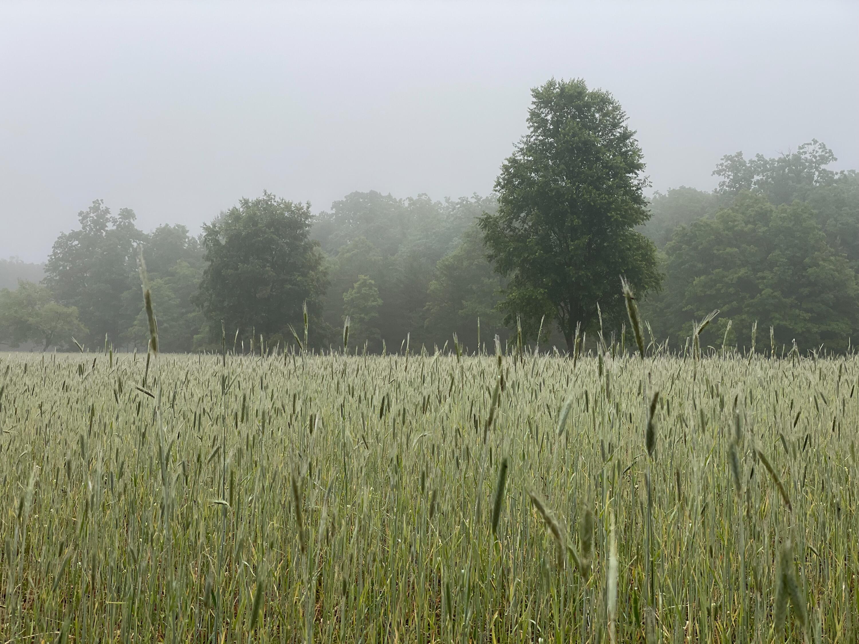 10652 North River Road, Unit E Irons, MI 49644 - Photo 7 of 11 IMG_20260318_175353