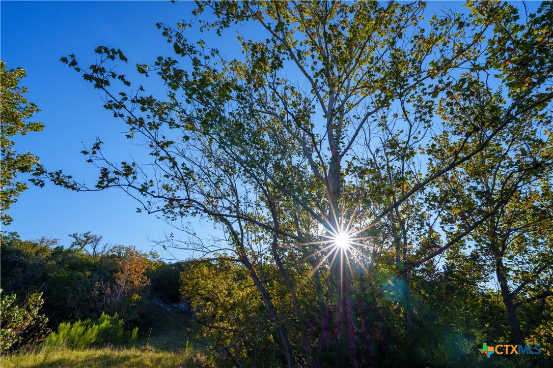 582 Delaware Creek Road Boerne, TX 78006 - Photo 3 of 48 a backyard of a house with lots of green space