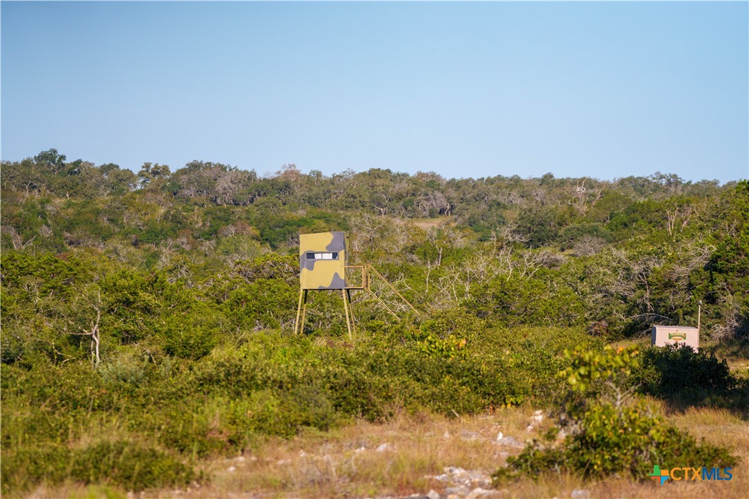 582 Delaware Creek Road Boerne, TX 78006 - Photo 35 of 48 a picture of a city