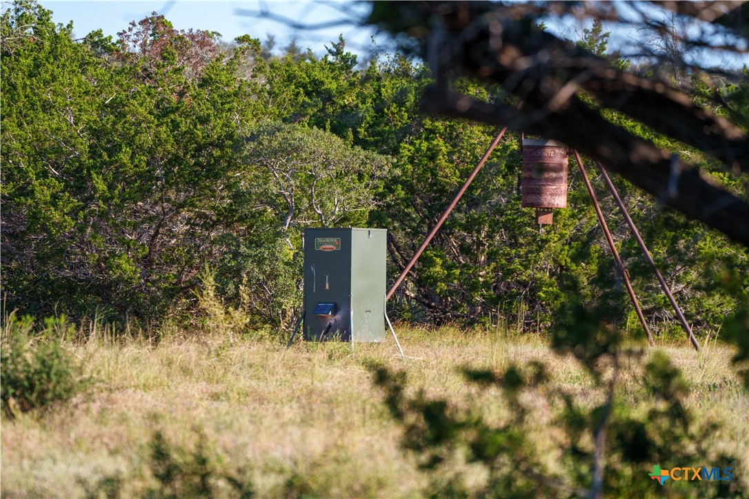 582 Delaware Creek Road Boerne, TX 78006 - Photo 39 of 48 a view of a tree in a yard