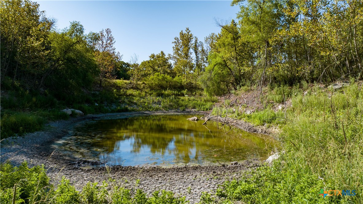 582 Delaware Creek Road Boerne, TX 78006 - Photo 41 of 48
