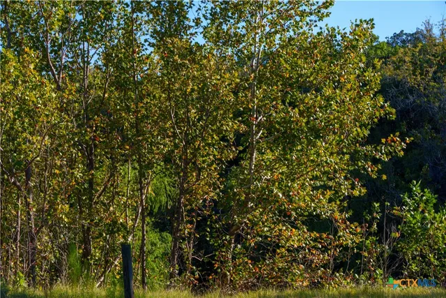 $1,849,000 | 582 Delaware Creek Road, Boerne, TX 78006