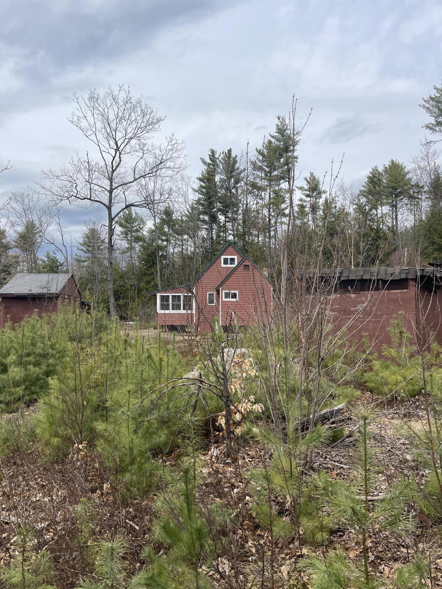 173 Tamworth Road Oxford, ME 04270 - Photo 8 of 8 So private