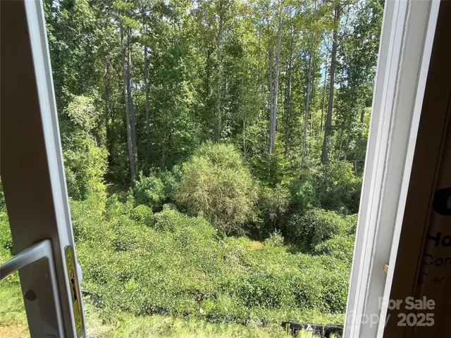 a view of a garden from a window