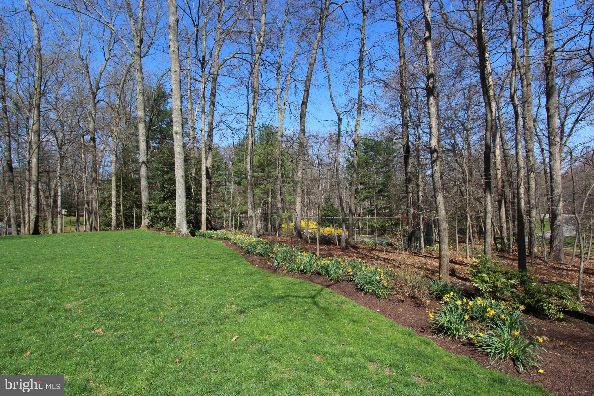 2313 Sawdust Road Vienna, VA 22181 - Photo 28 of 30 View