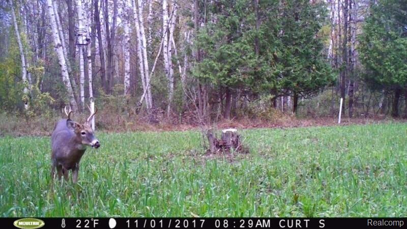Tbd West Mann Road Port Sanilac, MI 48469 - Photo 3 of 9 Gallery Image 3