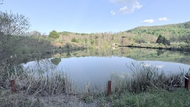 2463 Willow Bend Road Lindside, WV 24951 - Photo 47 of 75 Gallery Image 47