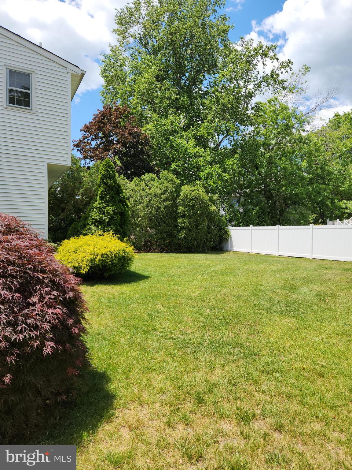 281 Center Street Little Egg Harbor, NJ 08087 - Photo 36 of 40 Backyard Tree Line creates Privacy Buffer