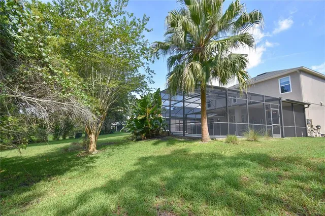 a view of a backyard with a tree
