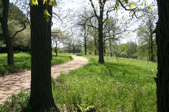 13503 O'Brien Road Hebron, IL 60034 - Photo 9 of 24