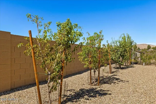 a view of a yard with plants and trees