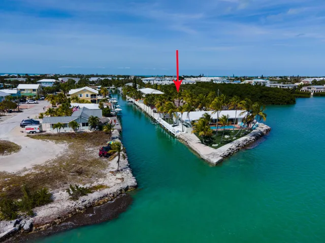 a view of swimming pool with lawn chairs and plants