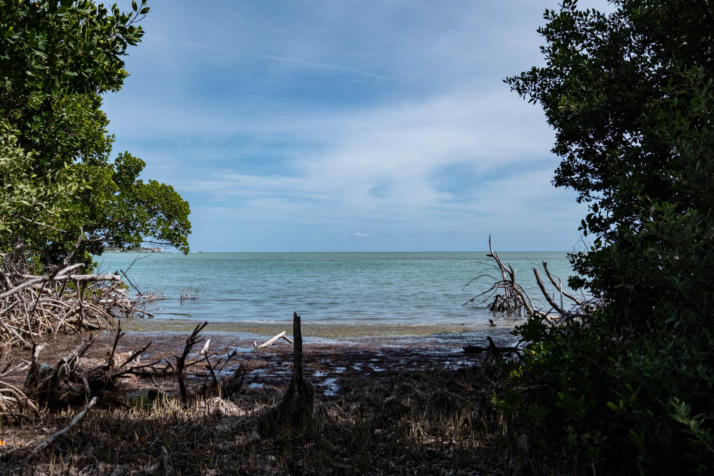 900 101st Street Marathon, FL 33050 - Photo 58 of 64 032225 Gray 900 101st St Marathon SIZED