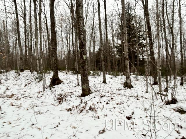 Tbd5 Larson Road Atlantic Mine, MI 49905 - Photo 9 of 56 Gallery Image 9