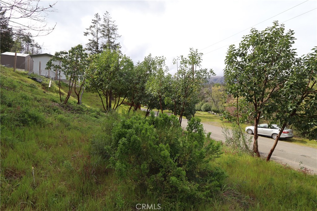 11541 Anderson Springs Road Middletown, CA 95461 - Photo 11 of 20