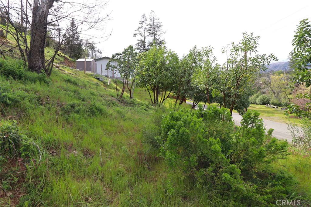 11541 Anderson Springs Road Middletown, CA 95461 - Photo 12 of 20