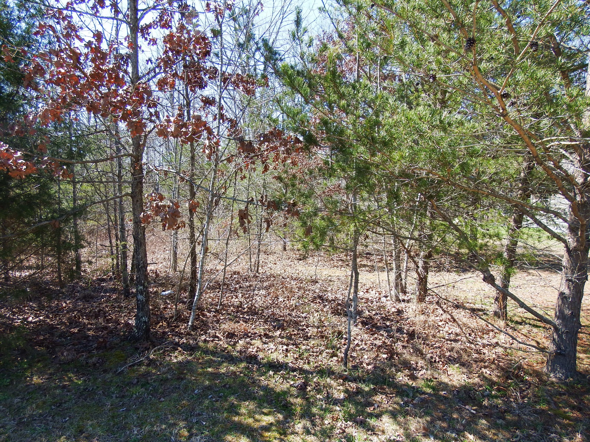 1 Armory Road Monteagle, TN 37356 - Photo 8 of 14 Gallery Image 8