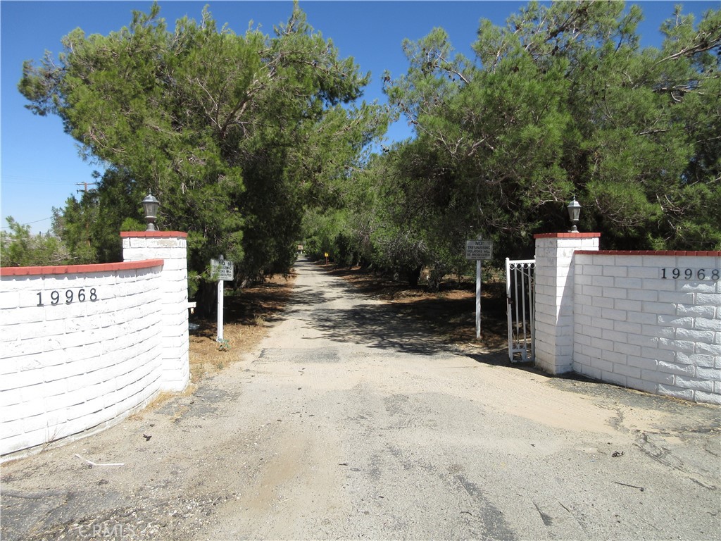 a view of a backyard of the house