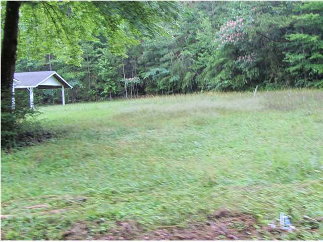 9012 Standifer Gap Road Chattanooga, TN 37421 - Photo 2 of 4 Additional Photo