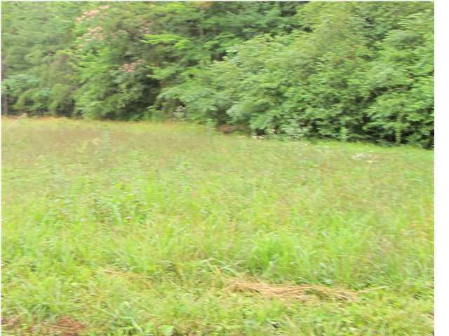 9012 Standifer Gap Road Chattanooga, TN 37421 - Photo 3 of 4 Additional Photo