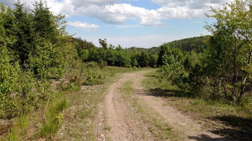6 South Ridge Road Robbinston, ME 04671 - Photo 2 of 4 Photo