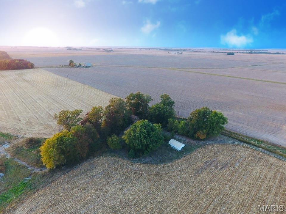 12497 Palm Tree Road Hoyleton, IL 62803 - Photo 11 of 12