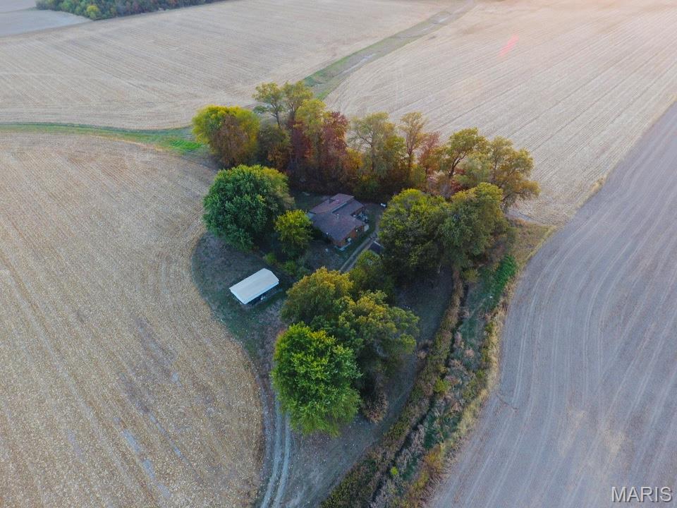 12497 Palm Tree Road Hoyleton, IL 62803 - Photo 12 of 12