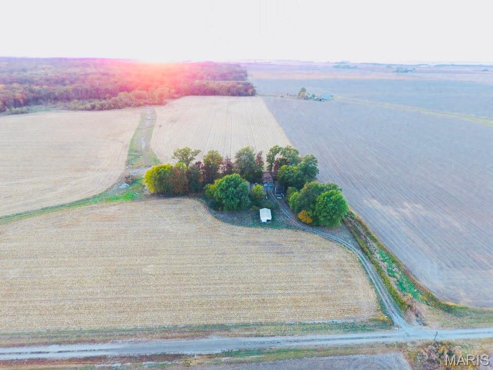 12497 Palm Tree Road Hoyleton, IL 62803 - Photo 2 of 12