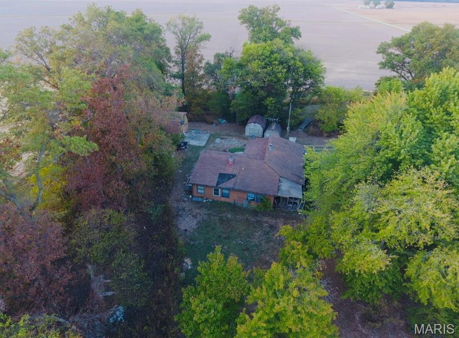 12497 Palm Tree Road Hoyleton, IL 62803 - Photo 3 of 12