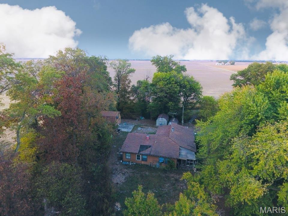 12497 Palm Tree Road Hoyleton, IL 62803 - Photo 4 of 12