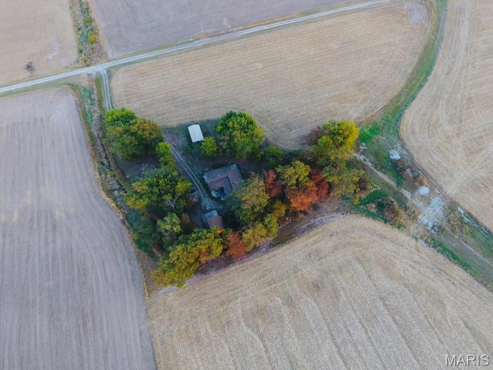 12497 Palm Tree Road Hoyleton, IL 62803 - Photo 8 of 12