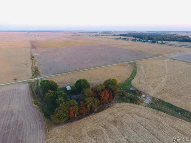 $85,000 | 12497 Palm Tree Road, Hoyleton, IL 62803