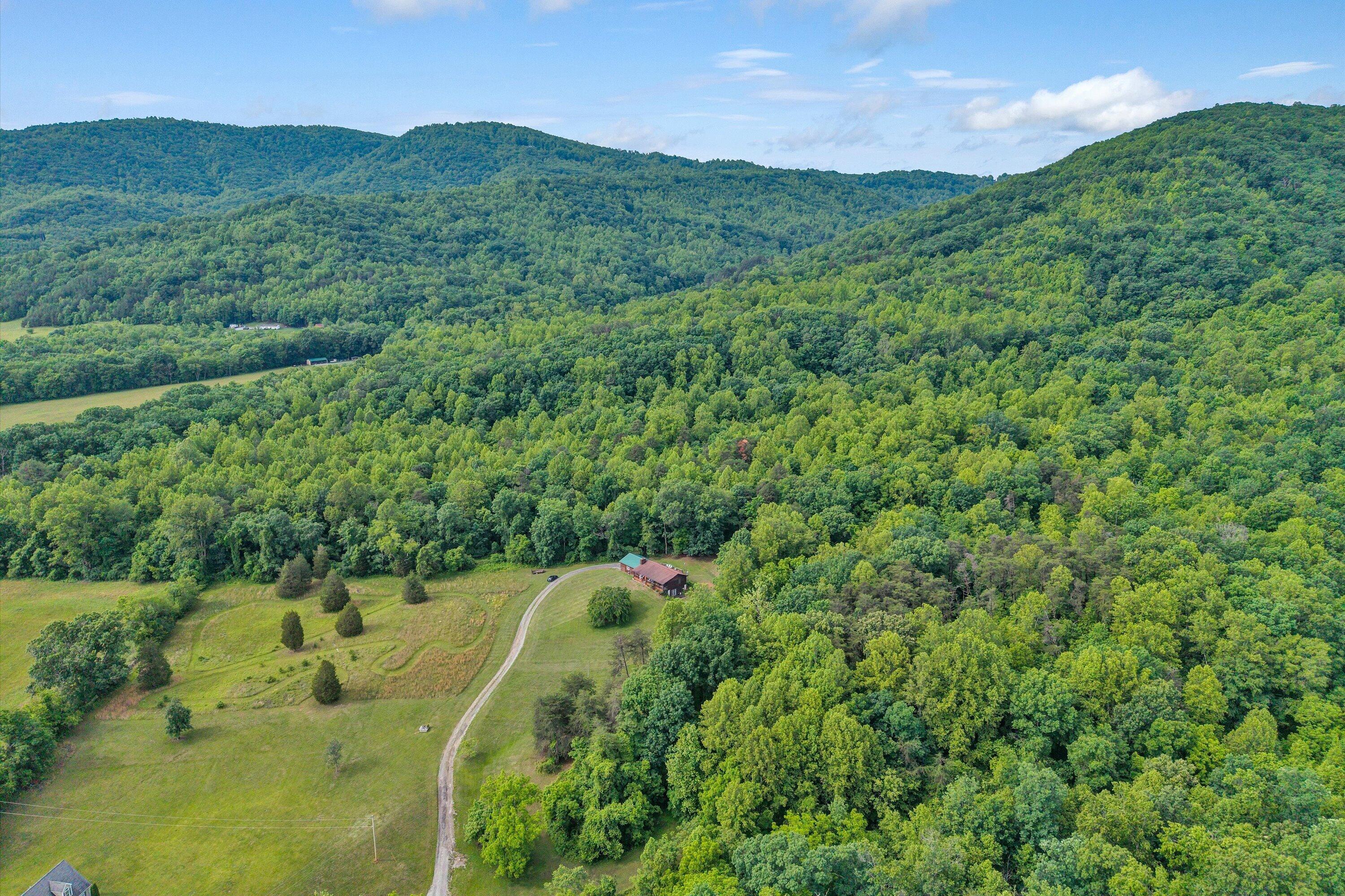 1550 Vernon Lane Blue Ridge, VA 24064 - Photo 41 of 45 40-SGP-20260527094514