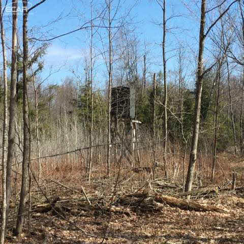 5281 Inman Road Southwest South Boardman, MI 49680 - Photo 40 of 92 20437574-39.JPG