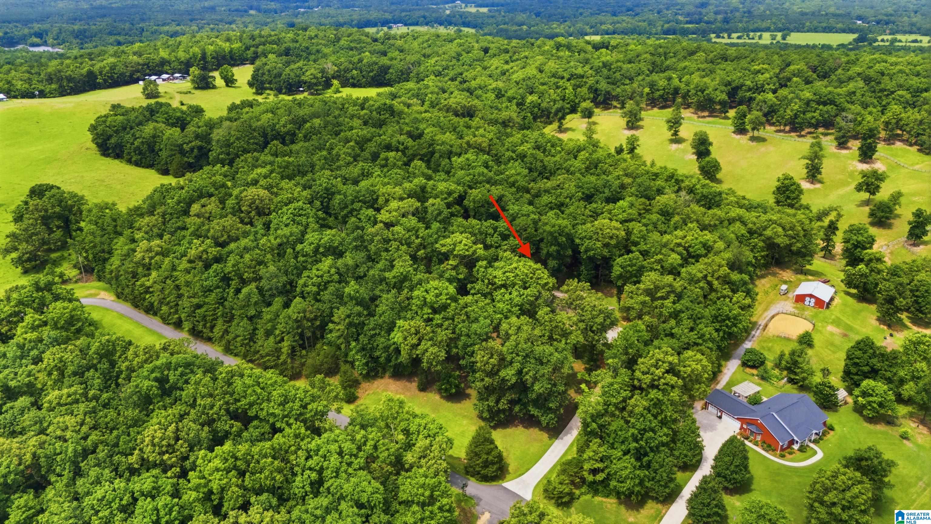 231 Country Ridge Road Montevallo, AL 35115 - Photo 54 of 60