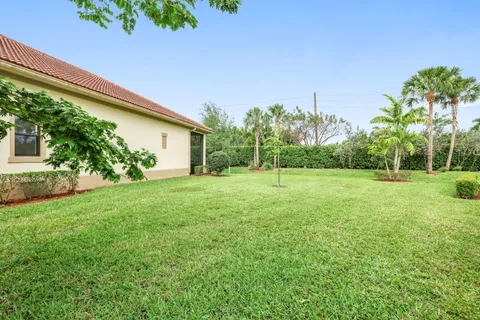 a backyard of a house with plants and large trees