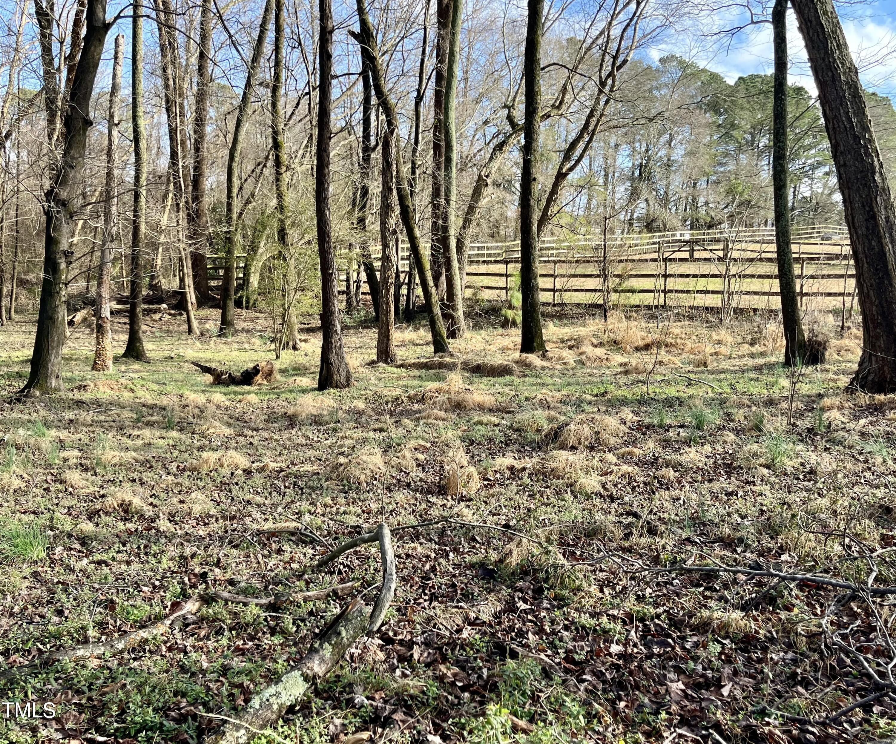 3733 Polenta Road Clayton, NC 27520 - Photo 37 of 51 a view of a yard with large trees