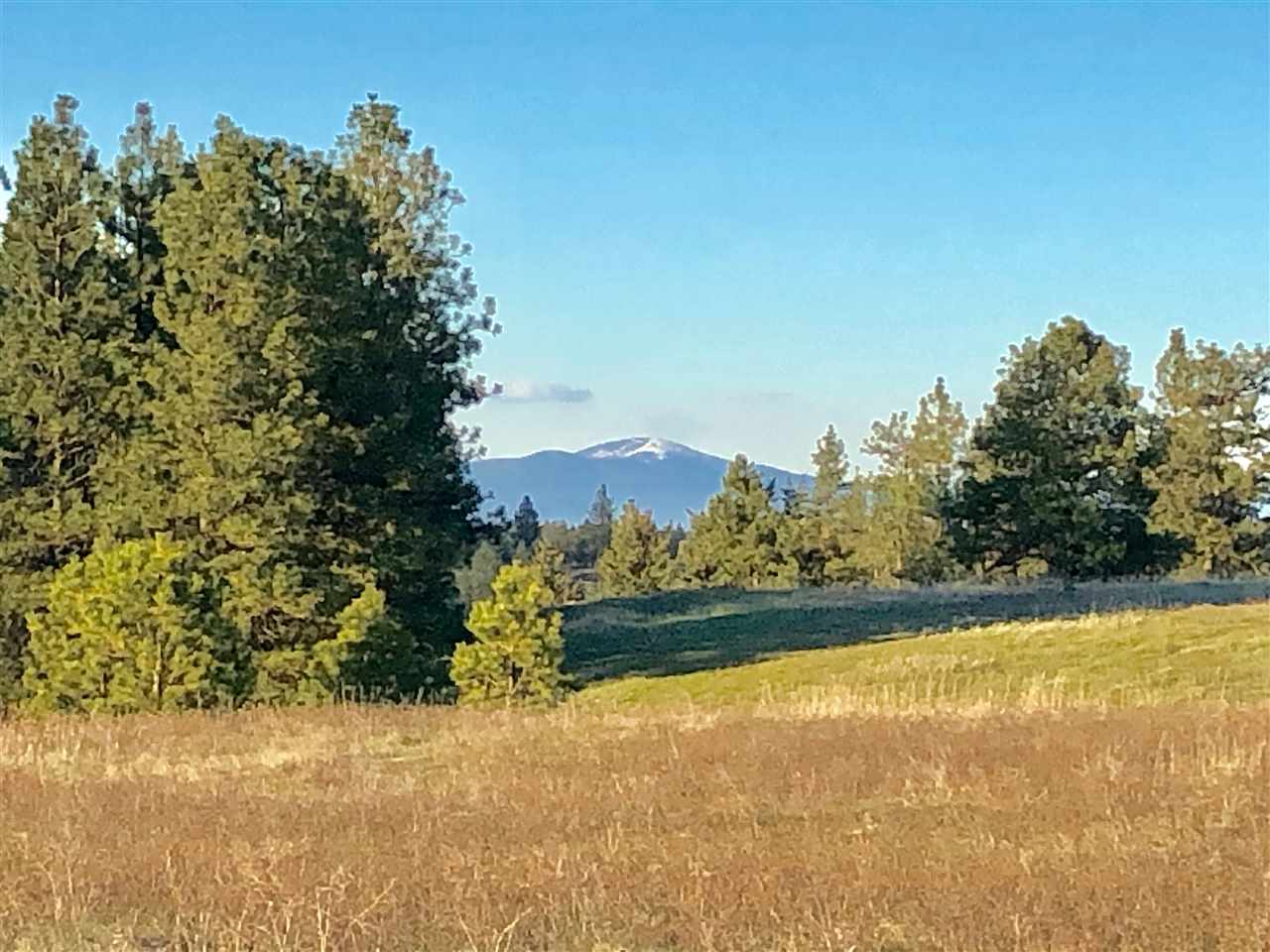 13403 West Euclid Road, Unit SOUTHERN PARCELS Spokane, WA 99224 - Photo 12 of 15