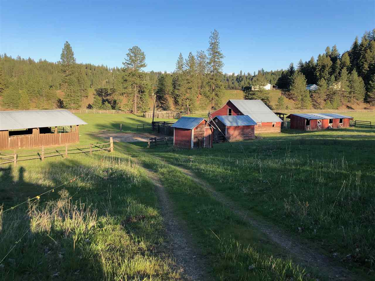 13403 West Euclid Road, Unit SOUTHERN PARCELS Spokane, WA 99224 - Photo 5 of 15